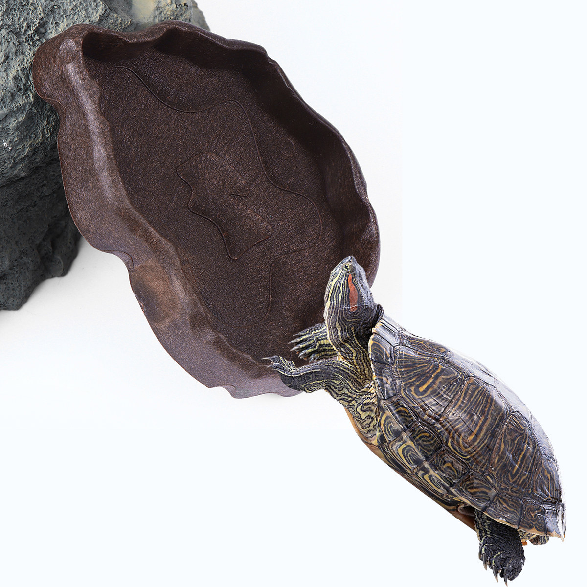 Water Dish Reptile - Mangkuk Makanan Reptil dari Resin Ukuran