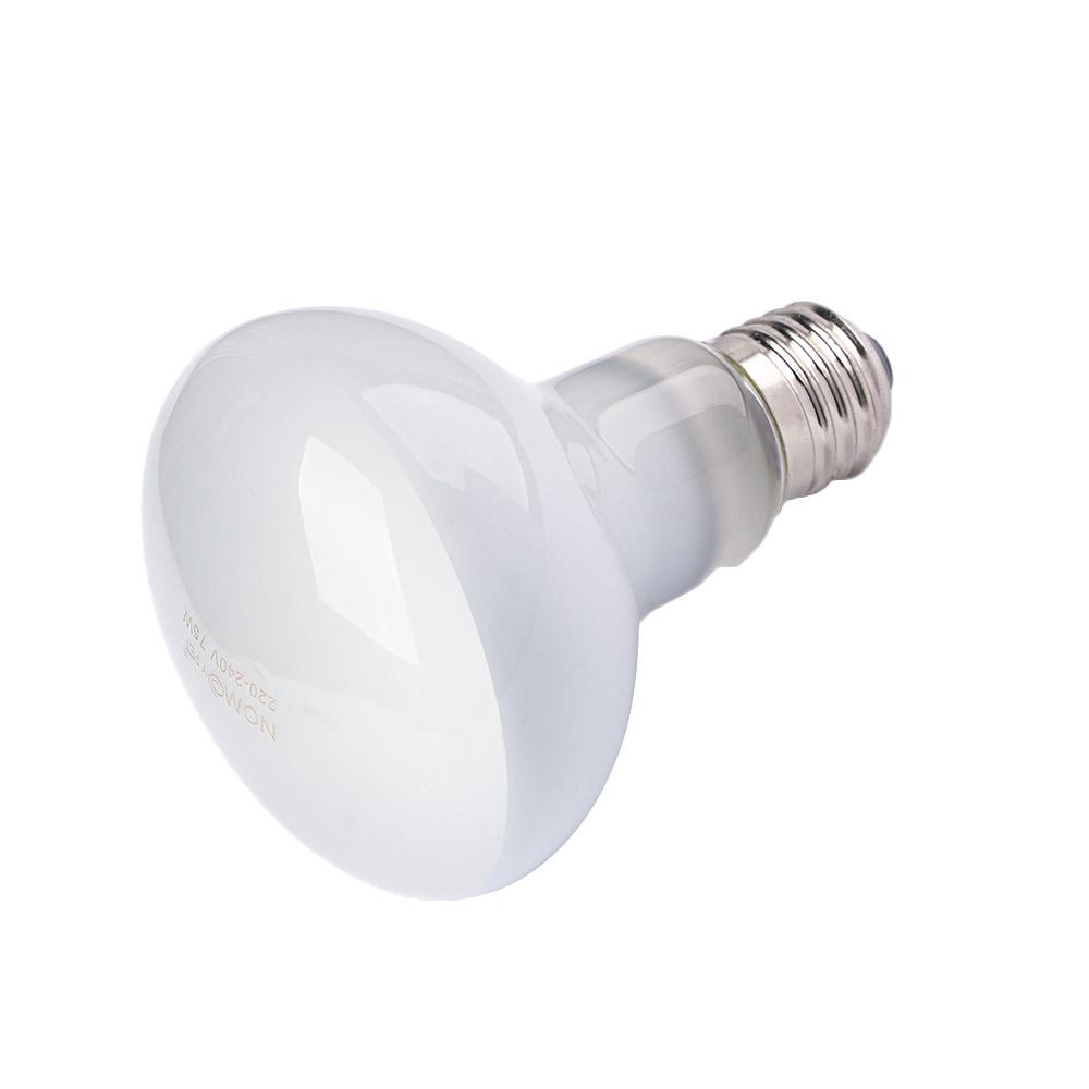 Basking Bulb Halogen - Pengontrol Suhu Pemanas Kadal Lampu Halogen