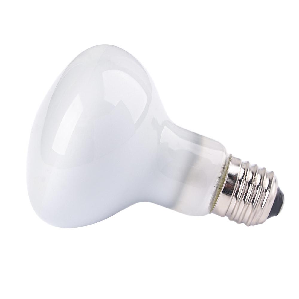 Basking Bulb Halogen - Lampu Penghangat Pengontrol Suhu Amfibi, Bohlam