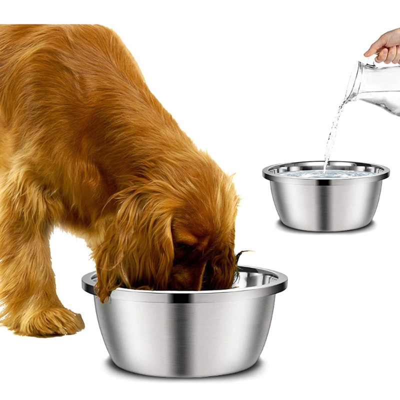 Royal Canin Food Medium - Pengumpan anjing Stainless Steel 20cm 24cm