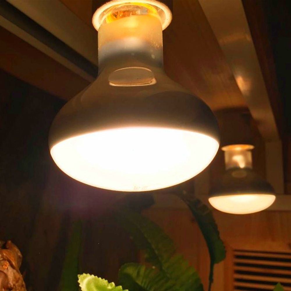 Pengontrol Suhu Pemanas Kadal  - Basking Bulb Halogen ulasan dan harga