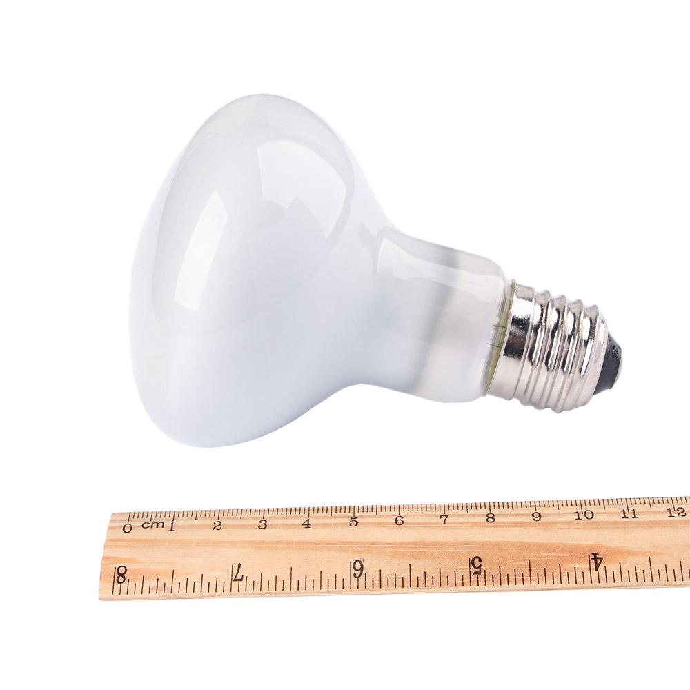 Pengontrol Suhu Pemanas Kadal  - Basking Bulb Halogen ulasan dan harga