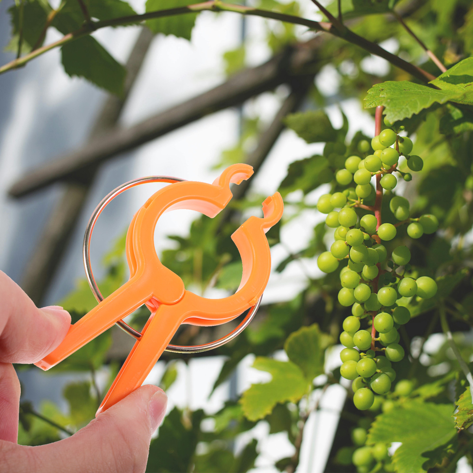 12 Buah Klip Penyangga Tanaman - Vine Climbing Plastic ulasan dan harga