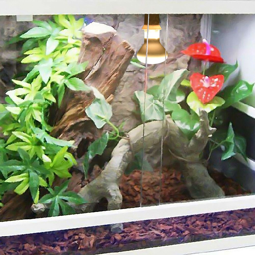 Lampu Pengontrol Suhu Kadal, L - Basking Bulb Halogen ulasan dan harga