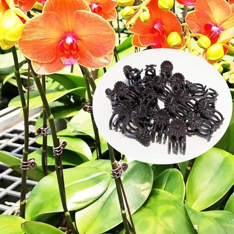 Klip Penyangga Tanaman Mini Gr - Vine Climbing Plastic ulasan dan harga