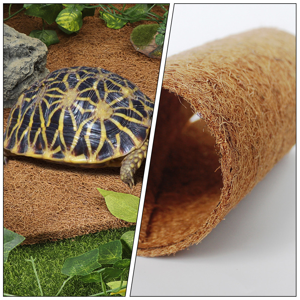 Alas terarium serat alami dari - Substrate Coconut Fiber ulasan dan harga