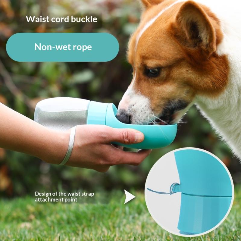 Botol Air Anjing Besar 500ml,  - Royal Canin Food Medium ulasan dan harga