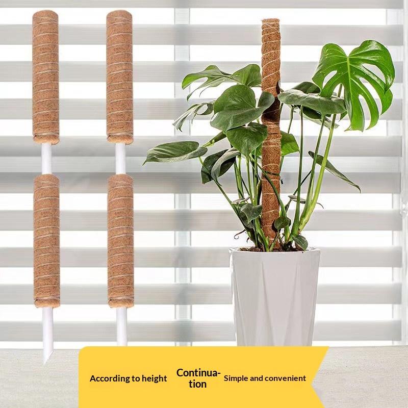 1 Buah Batang Traksi Pertumbuh - Vine Climbing Plastic ulasan dan harga