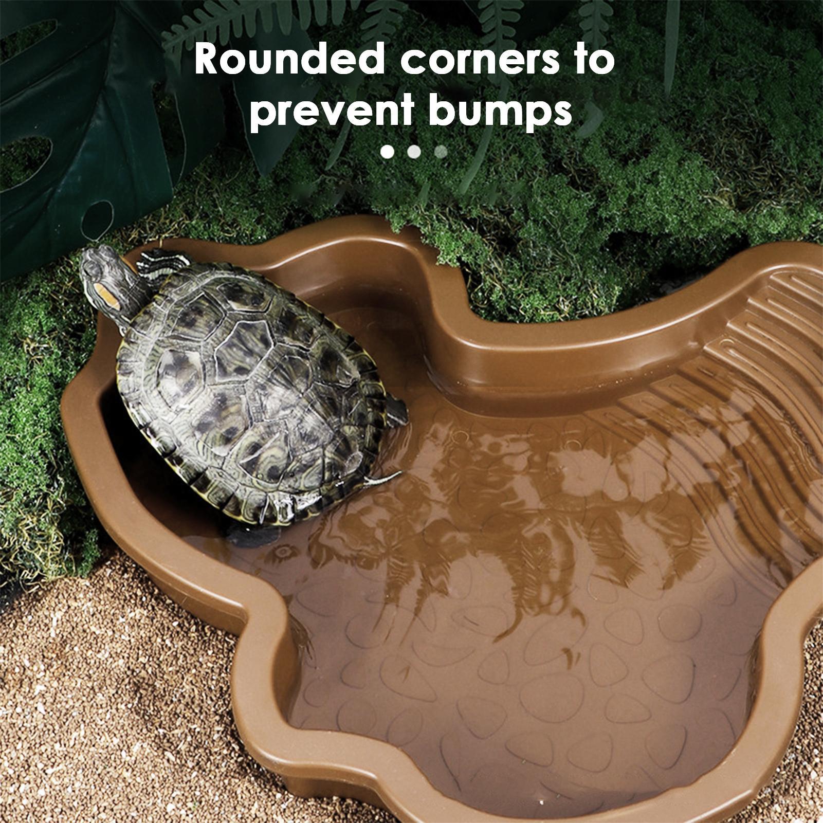 Kolam Mandi Reptil dengan Ramp - Water Dish Reptile ulasan dan harga