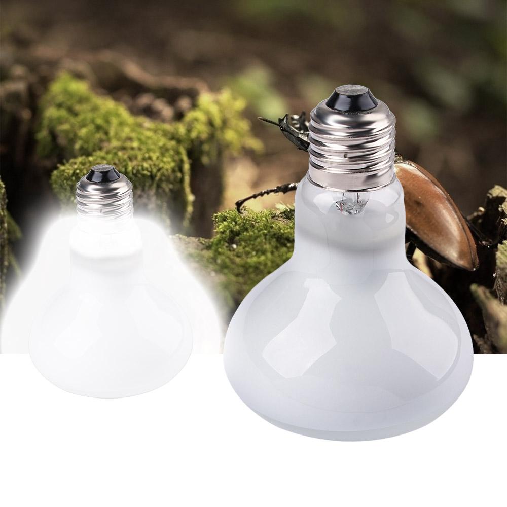 Lampu Penghangat Pengontrol Su - Basking Bulb Halogen ulasan dan harga