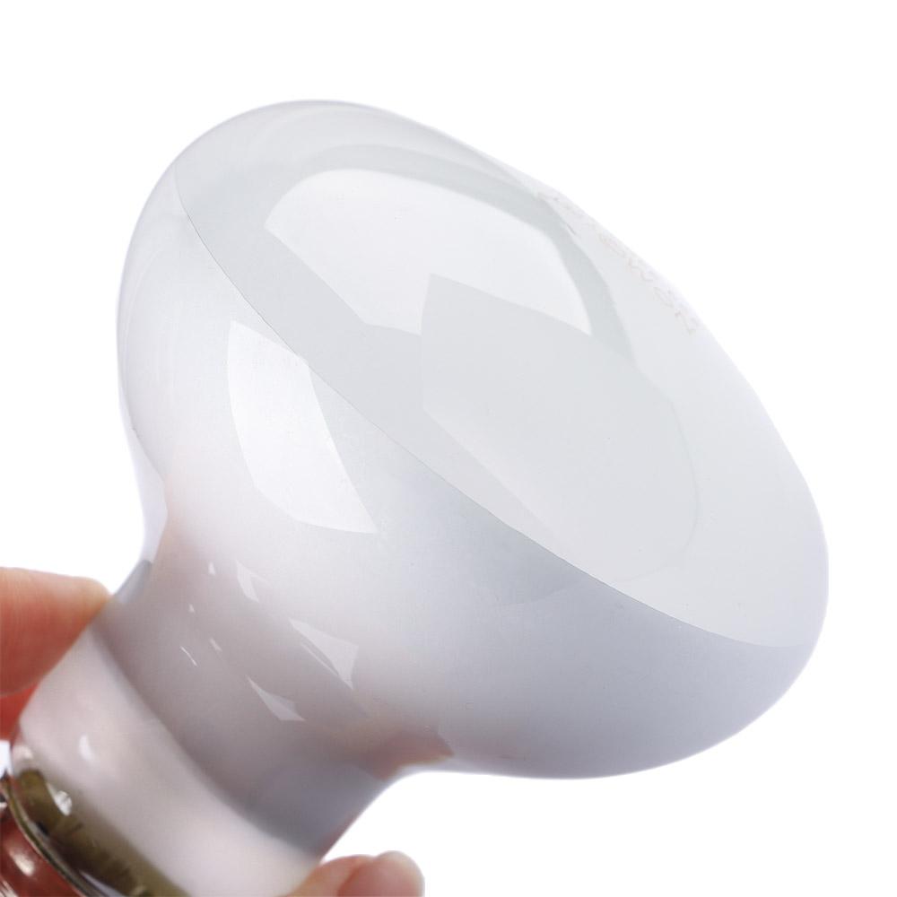 Lampu Pemanas Kura-kura Lampu  - Basking Bulb Halogen ulasan dan harga