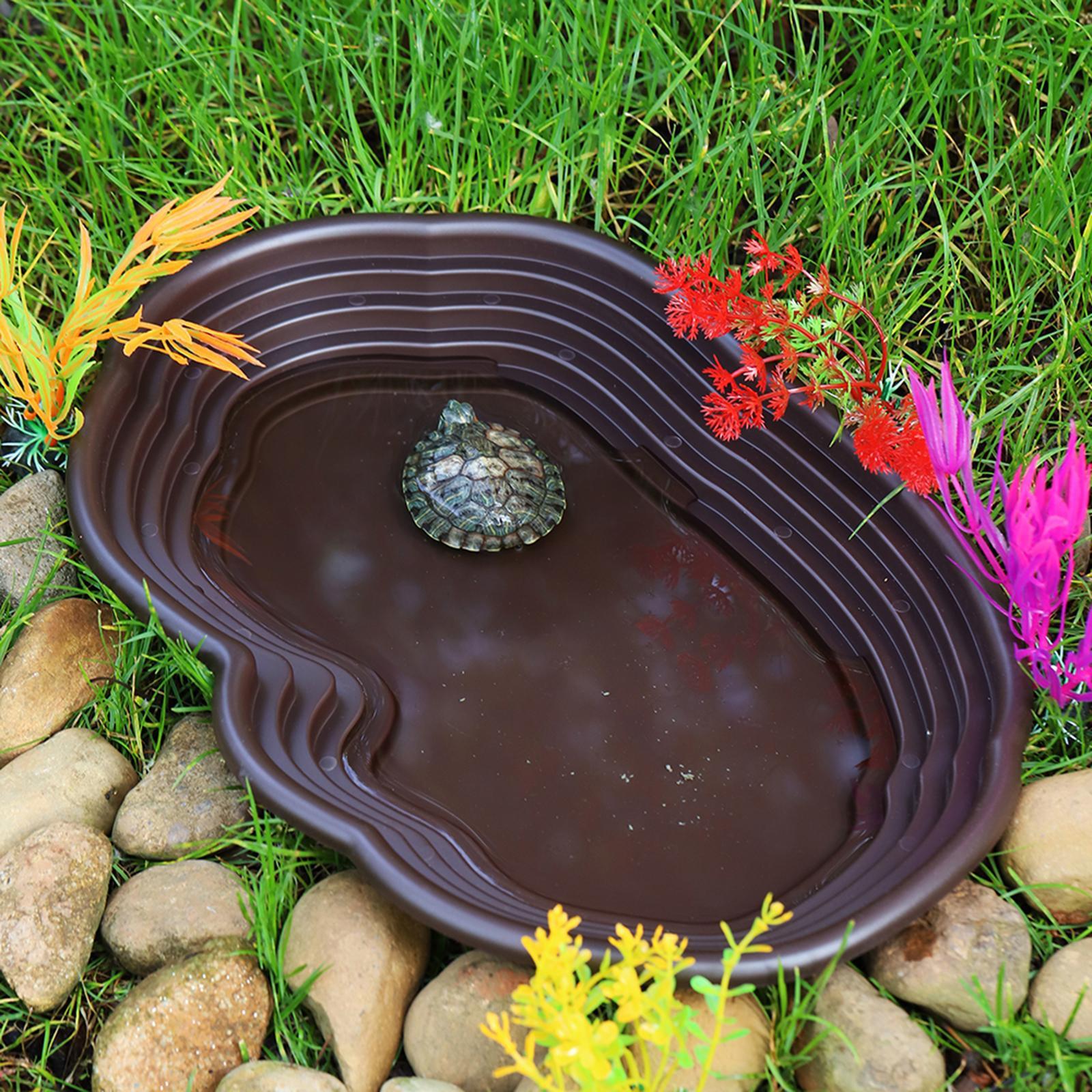 Piring mandi reptil pengumpan  - Water Dish Reptile ulasan dan harga