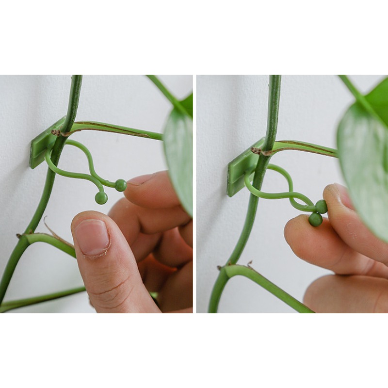 10 Buah Kait Pengikat Tanaman  - Vine Climbing Plastic ulasan dan harga