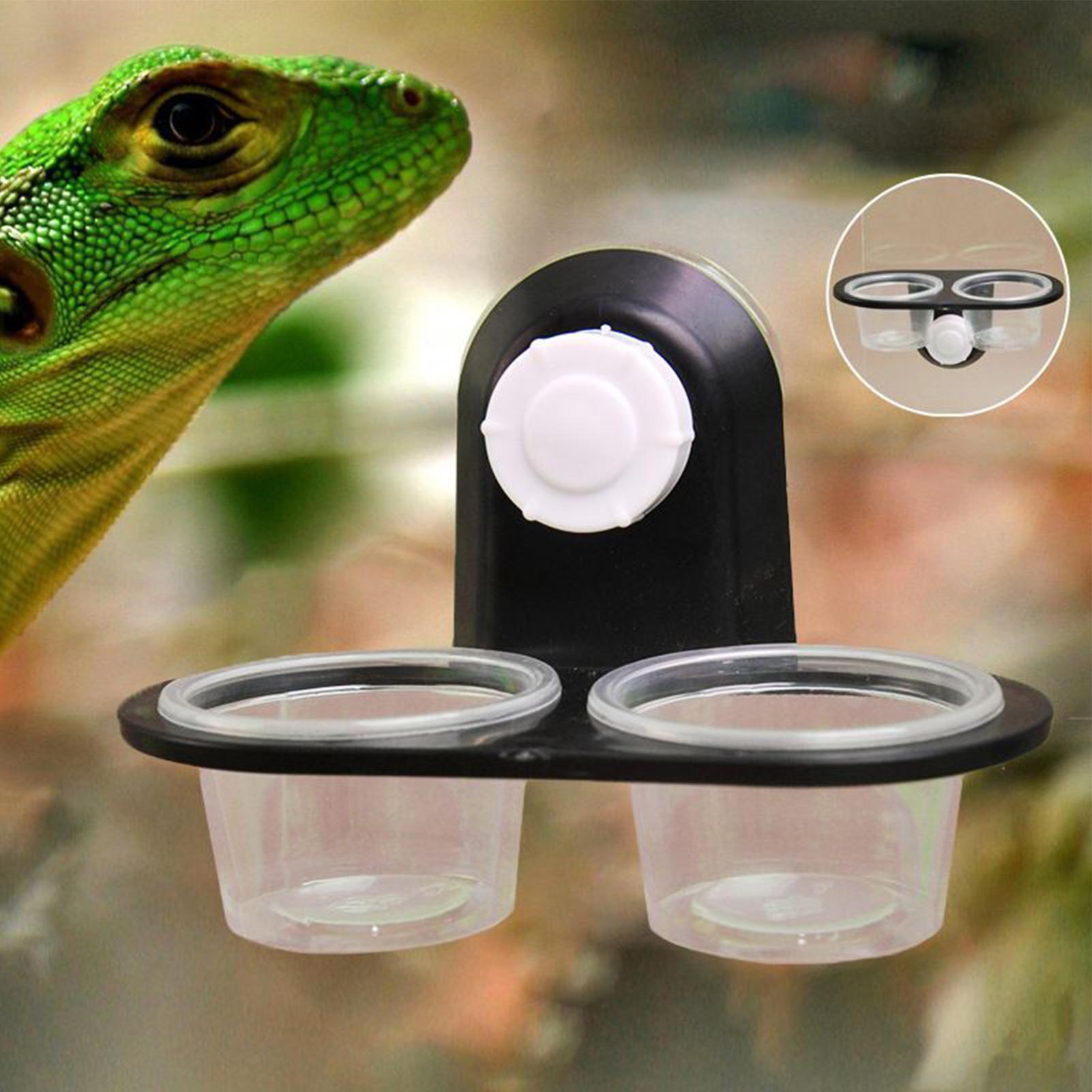 Tempat Makan Gecko, Dispenser  - Water Dish Reptile ulasan dan harga