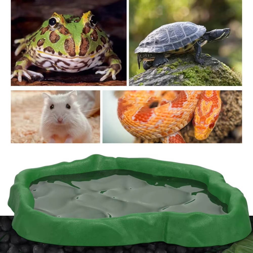Mangkuk Makan Reptil Resin ABS - Water Dish Reptile ulasan dan harga