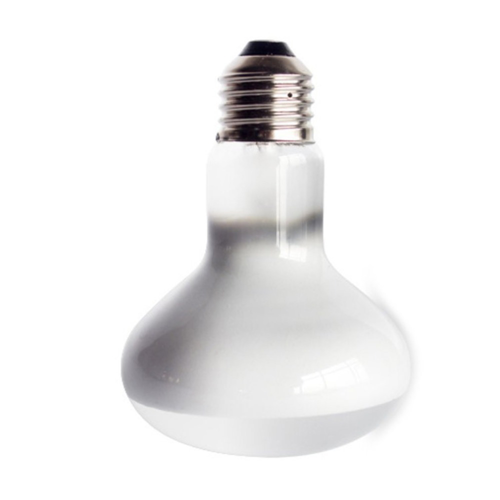 Pengontrol Suhu Pemanas Kadal  - Basking Bulb Halogen ulasan dan harga
