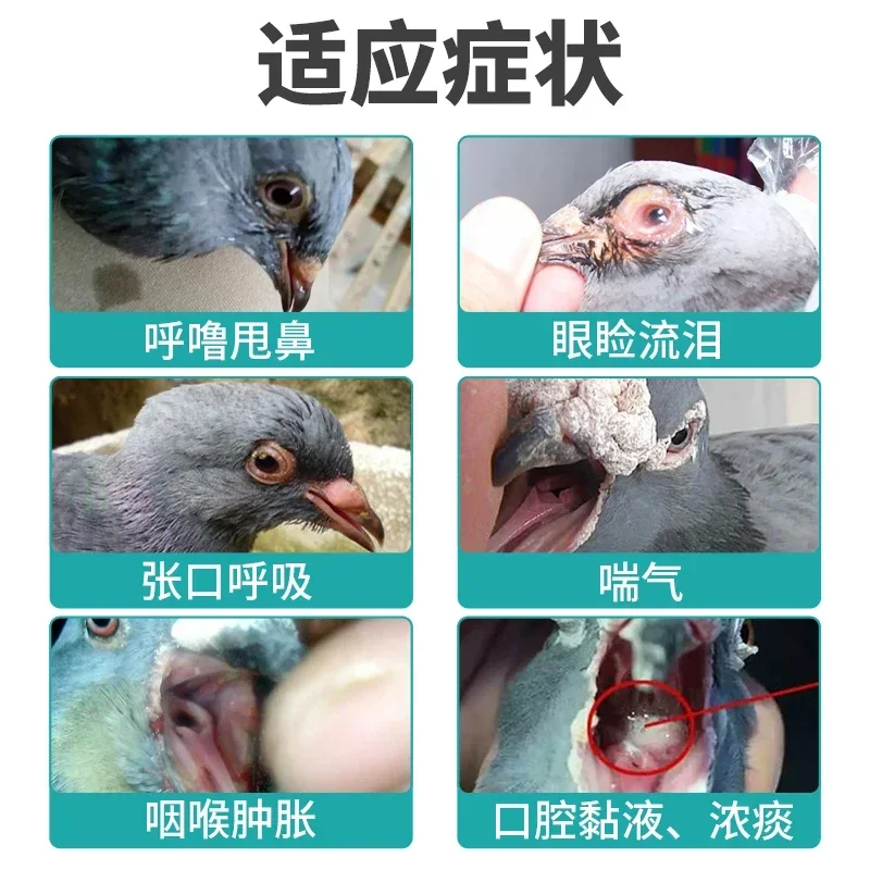 Parrots daging merpati ayam be - Vitamin D3 Reptile ulasan dan harga
