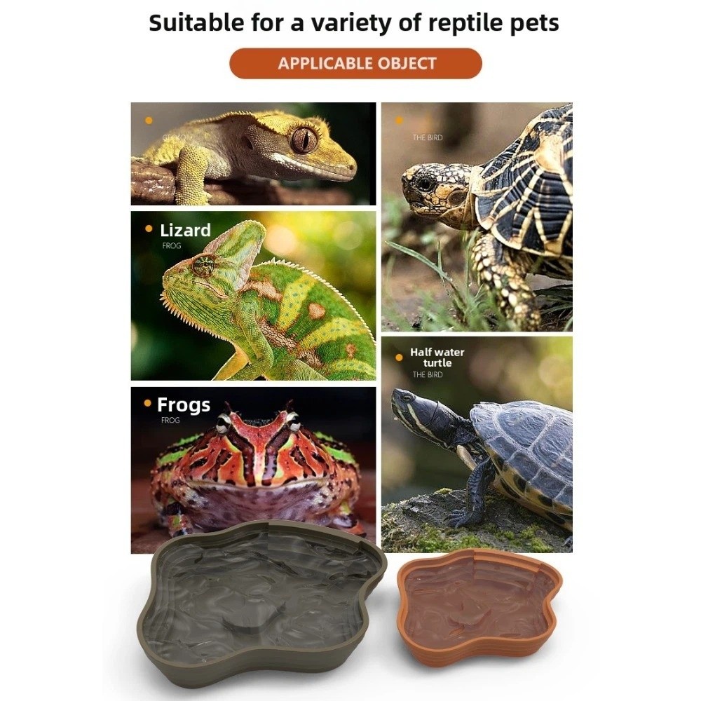 Bak Mandi Kura-kura Plastik Ba - Water Dish Reptile ulasan dan harga