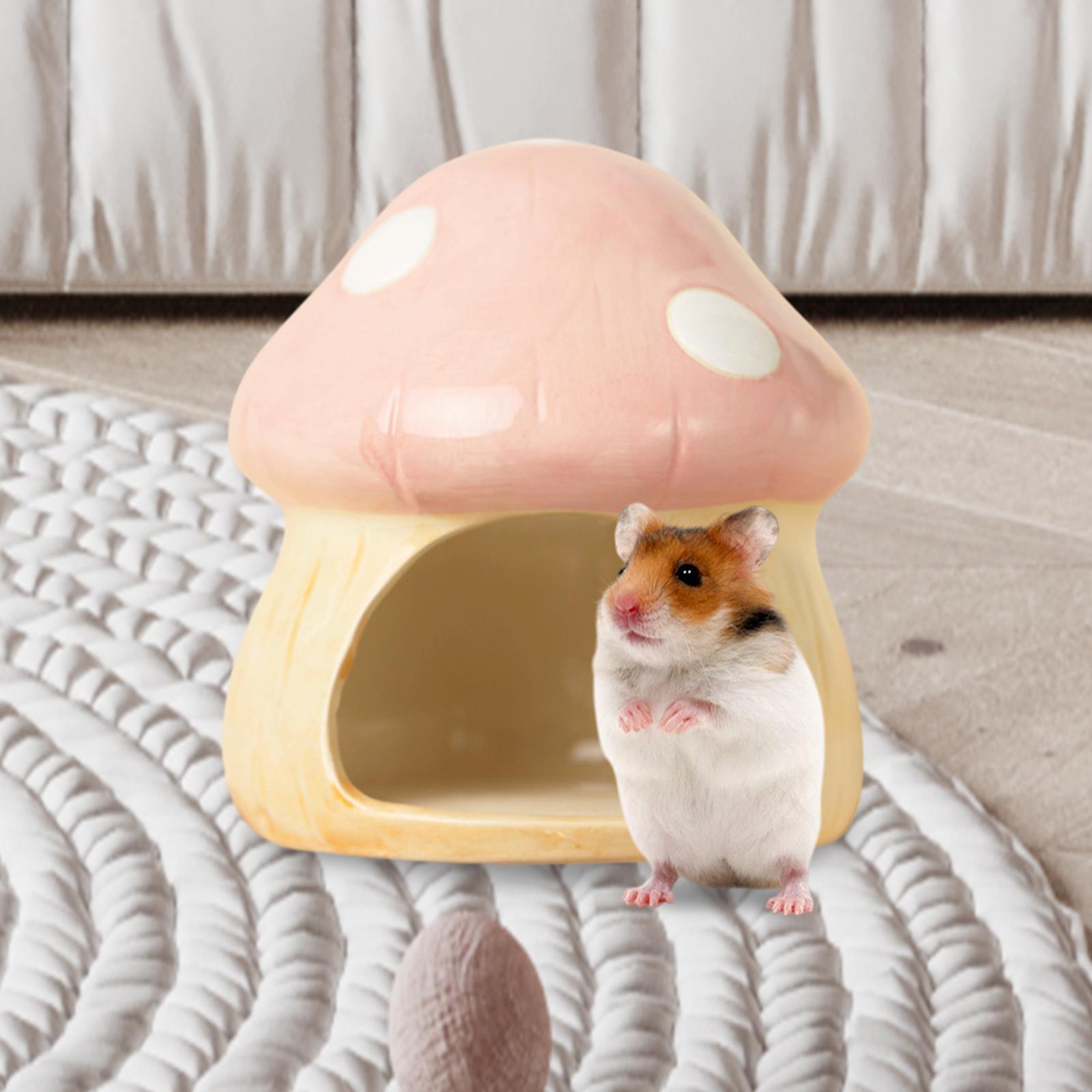 Keramik jamur Hamster Hideout  - Hide Cave Ceramic ulasan dan harga