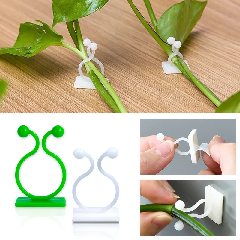 Pengait Tanaman Merambat Dindi - Vine Climbing Plastic ulasan dan harga