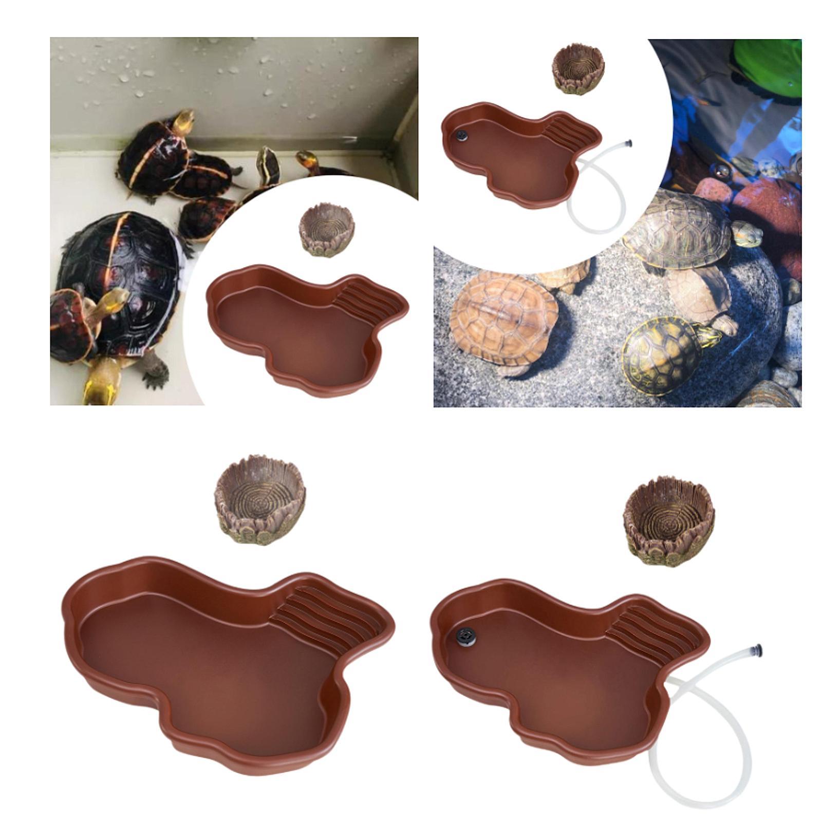 Piring Makan Reptil Kolam Mand - Water Dish Reptile ulasan dan harga