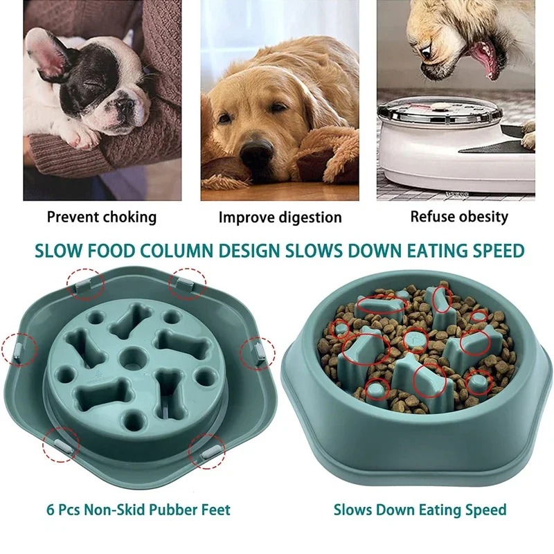 1Pc Mangkuk Makan Anjing Slow  - Royal Canin Food Medium ulasan dan harga